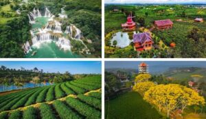 Bảo Lộc có gì chơi? Khám phá điểm đến hấp dẫn