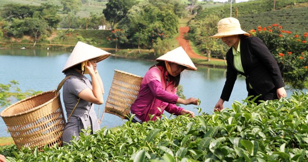 Kinh nghiệm thuê xe máy du lịch Bảo Lộc